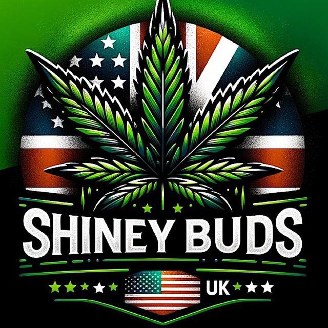 @ShineyBudsUK01_tsbot