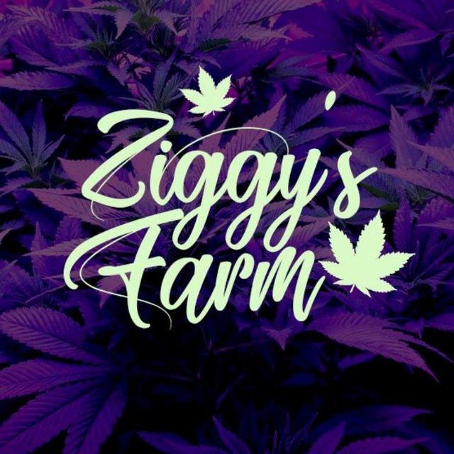 @ZiggysFarmShop_tsbot